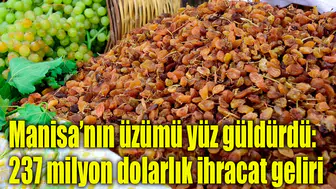 Manisa’nın üzümü yüz güldürdü: 237 milyon dolarlık ihracat geliri