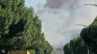 Manisa OSB'deki orman yangını büyüyor