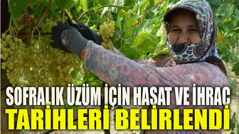 SOFRALIK ÜZÜM İÇİN HASAT VE İHRAÇ TARİHLERİ BELİRLENDİ