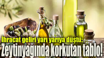 İhracat geliri yarı yarıya düştü: Zeytinyağında korkutan tablo!