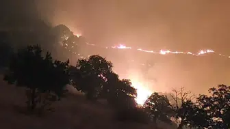 Manisa'da ki orman yangını kontrol altına alındı