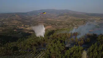 5 hektarlık kızılçam ormanı küle döndü