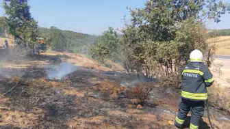 Manisa'da korkutan arazi yangını