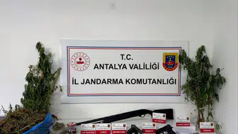 Jandarmadan uyuşturucu operasyonu