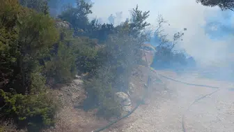 Manisa'da korkutan orman yangını büyümeden söndürüldü