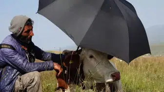 Çaresizliğin fotoğrafı