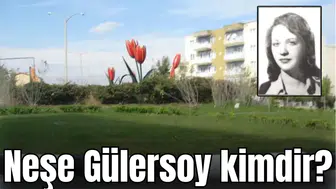 Neşe Gülersoy kimdir?