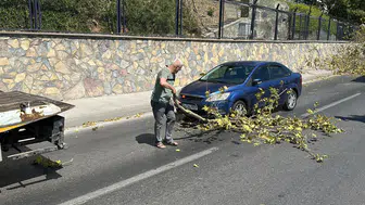 Yolda giden arabanın üstüne ağaç devrildi