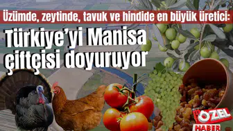 Üzümde, zeytinde, tavuk ve hindide en büyük üretici: Türkiye’yi Manisa çiftçisi doyuruyor