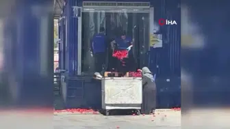 Kasa kasa domatesi neden çöpe döktüler?