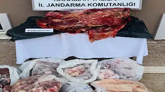 250 kilo mühürsüz sığır eti ele geçirildi