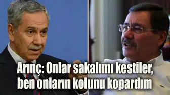 Arınç'tan Gökçek'e: Onlar sakalımı kestiler, ben onların kolunu kopardım