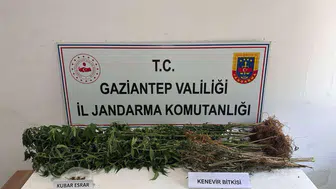 Uyuşturucu tacirlerine geçit yok!