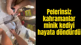 Pelerinsiz kahramanlar minik kediyi hayata döndürdü