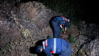 Manisa'da jandarmadan Hint keneviri avı