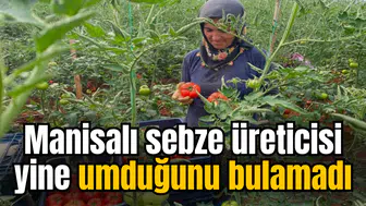Manisalı sebze üreticisi yine umduğunu bulamadı
