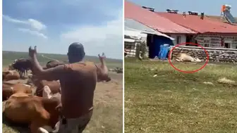 Bir ilimizde durum vahim! "Nerede bu yetkililer?" diyerek isyan etti: Allah sen yardım et