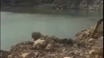 Ziraat Odası Başkanı boşa akılan sulara tepki gösterdi