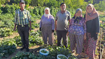 Yaşlı köylüler üretiyor, dünyaya ihraç ediliyor