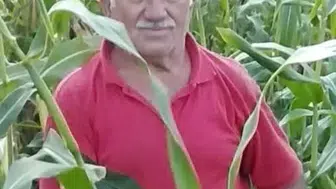 Feci traktör kazasında sürücü hayatını kaybetti