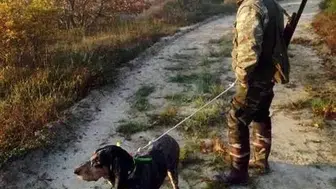 Bu sene Türkiye'de avlanmak yasak!