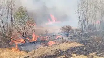 Art artta çıkan yangınlar o bölgeye korku salıyor