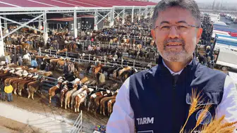 Bakan Yumaklı duyurdu: Şap hastalığı büyük ölçüde baskılandı