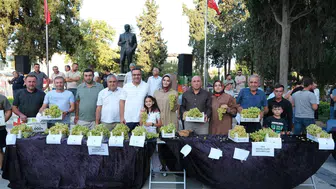 Manisa'da "En güzel Sultani üzüm" yarışması ilgi gördü