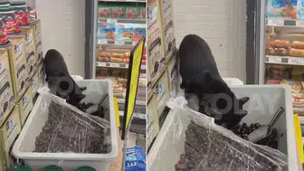 Marketten mide bulandıran görüntüler