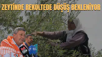 BU HABER ÇİFTÇİLERİ ÜZEBİLİR