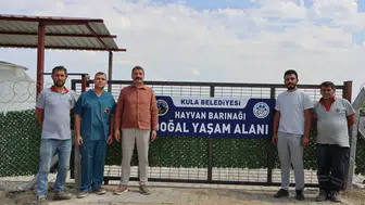 ‘Doğal yaşam alanı’ sahipsiz hayvanların evi oldu