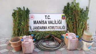 Manisa'da kenevir operasyonu