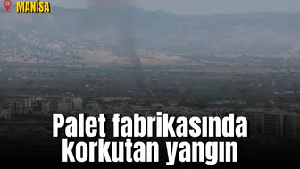 Palet fabrikasında korkutan yangın