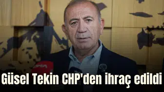 Güsel Tekin CHP'den ihraç edildi