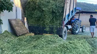 Manisa'da besiciler slaj yapımına başladı