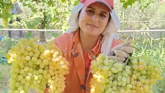 Manisa'nın üzümü şifa saçıyor