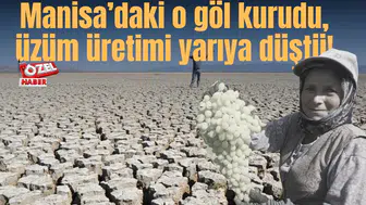 Manisa’daki o göl kurudu, üzüm üretimi yarıya düştü!