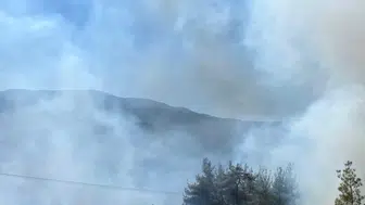 Sındırgı'da orman yangını çıktı