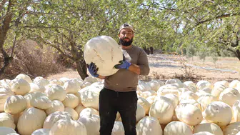 Tescilli kabak hasadı başladı