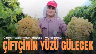 Üzüm fiyatlarındaki düşüşe TMO çözümü