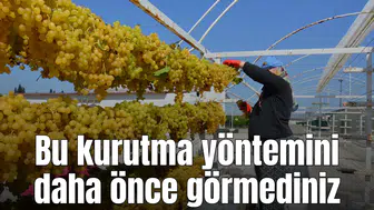 Üzüm kurutmak için değişik bir yöntem deniyorlar
