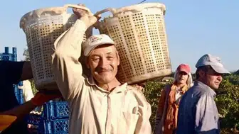 Yaşını duyan çalışma azmine hayran kalıyor