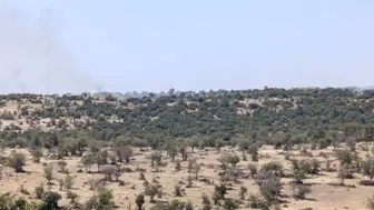 Makilik alanda çıkan yangın paniğe yol açtı