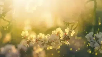 2026 Cemre Takvimi Belli Oldu: İlk Cemre Ne Zaman Düşecek, Havalar Ne Zaman Isınacak?