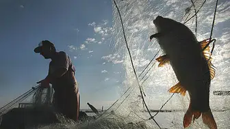 2026 av yasağı başlıyor: Kıyı balıkçılığı serbest mi, hangi türlerde özel yasak var?