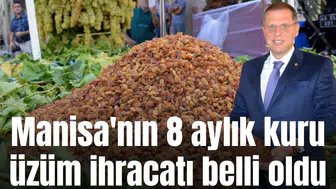 Bakın 8 ayda Manisa'da ne kadar kuru üzüm ihracatı yapılmış
