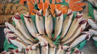 Su ürünleri sektörü ilk çeyrekte ihracatını yüzde 24 artırdı