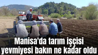 Manisa'da tarım işçisi yevmiyesi bakın ne kadar oldu