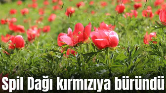 Spil Dağı kırmızıya büründü