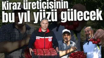 Kiraz üreticisinin bu yıl yüzü gülecek
